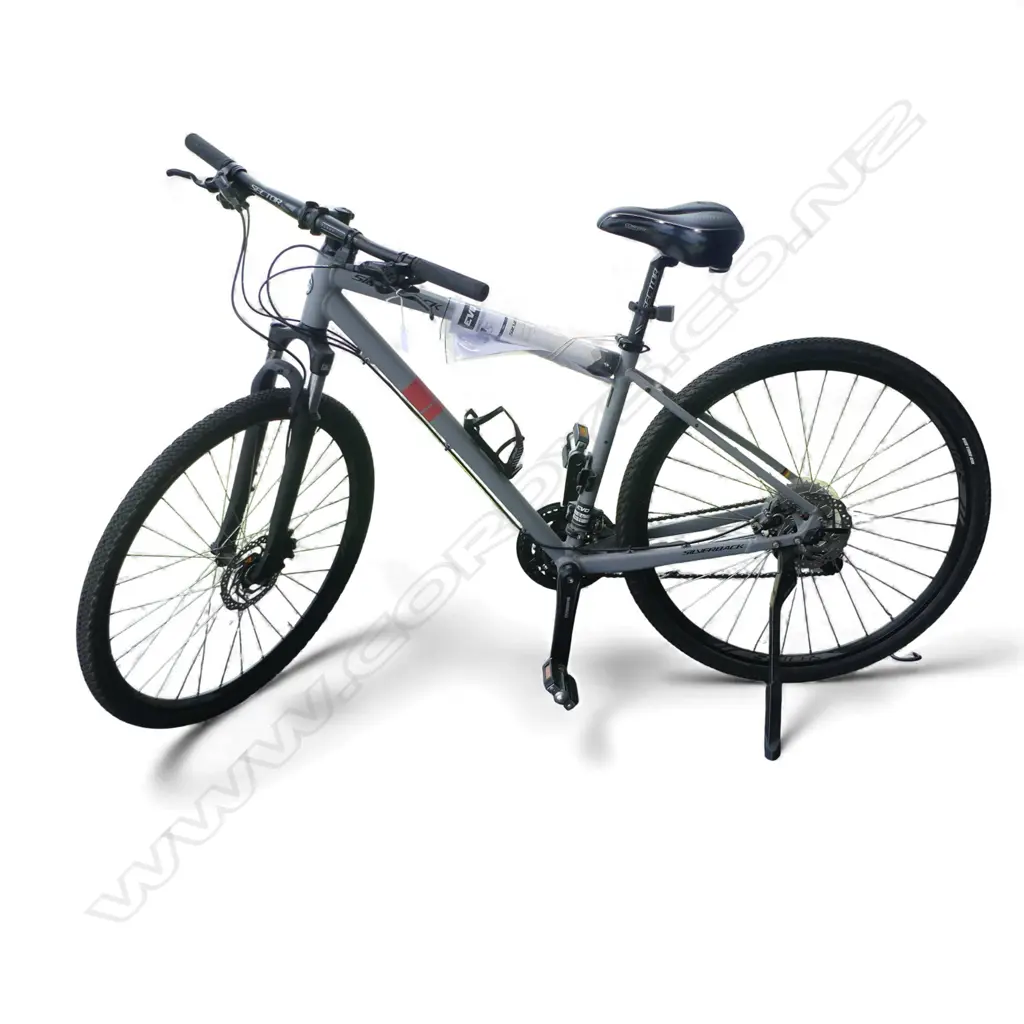 WOMAN'S SILVERBACK 'SHUFFLE COMP FEMME M' BICYCLE purchased new August 2019 w receipt from Evolution Cycles Image 1++