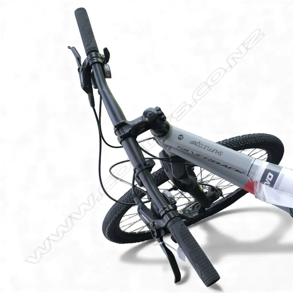 WOMAN'S SILVERBACK 'SHUFFLE COMP FEMME M' BICYCLE purchased new August 2019 w receipt from Evolution Cycles Image 1++