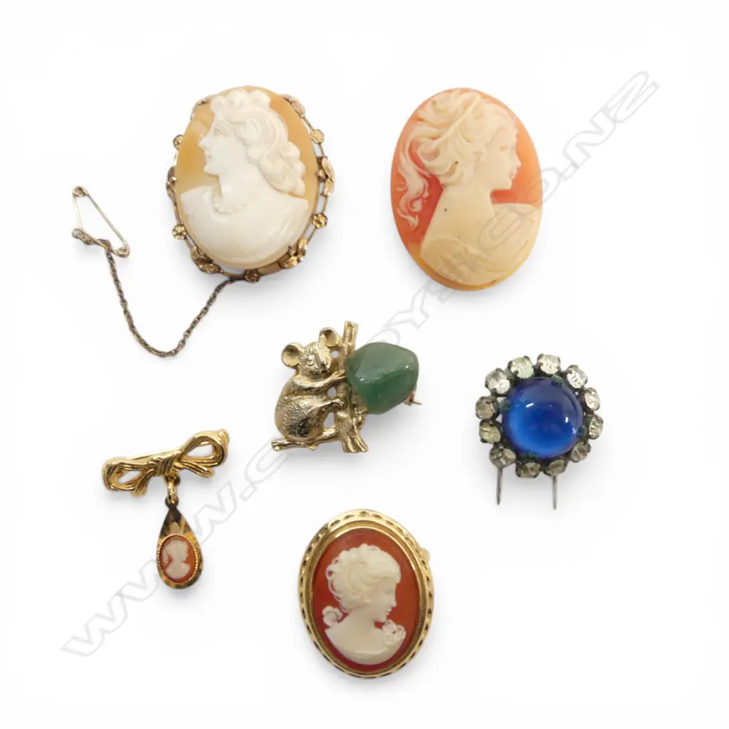 4 CAMEO BROOCHES, KOALA BROOCH & OTHER BROOCH Image 1++