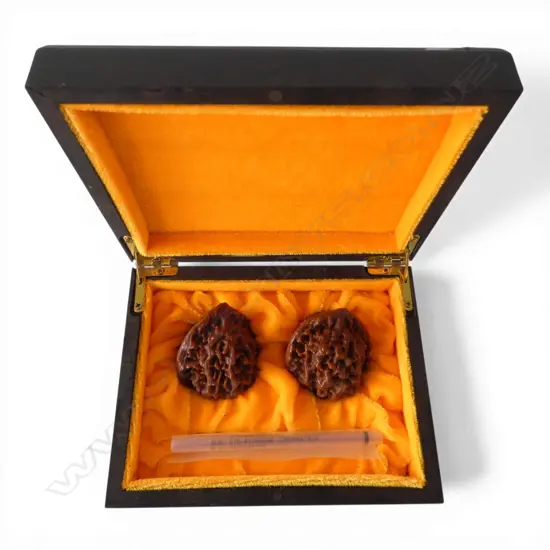PR CHINESE POLISHED WALNUTS, BOXED