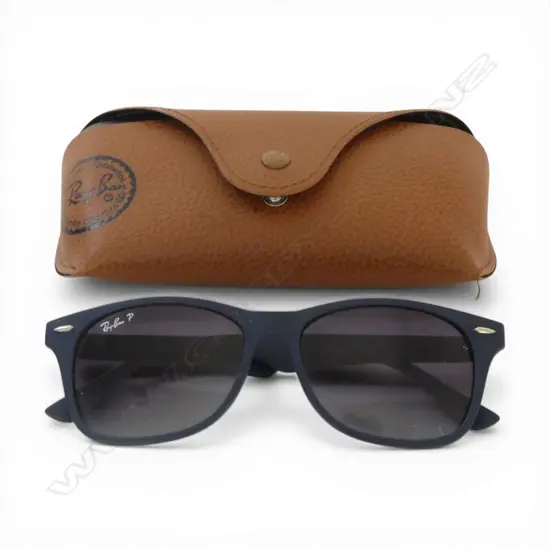 PR RAY BAN GLASSES in case