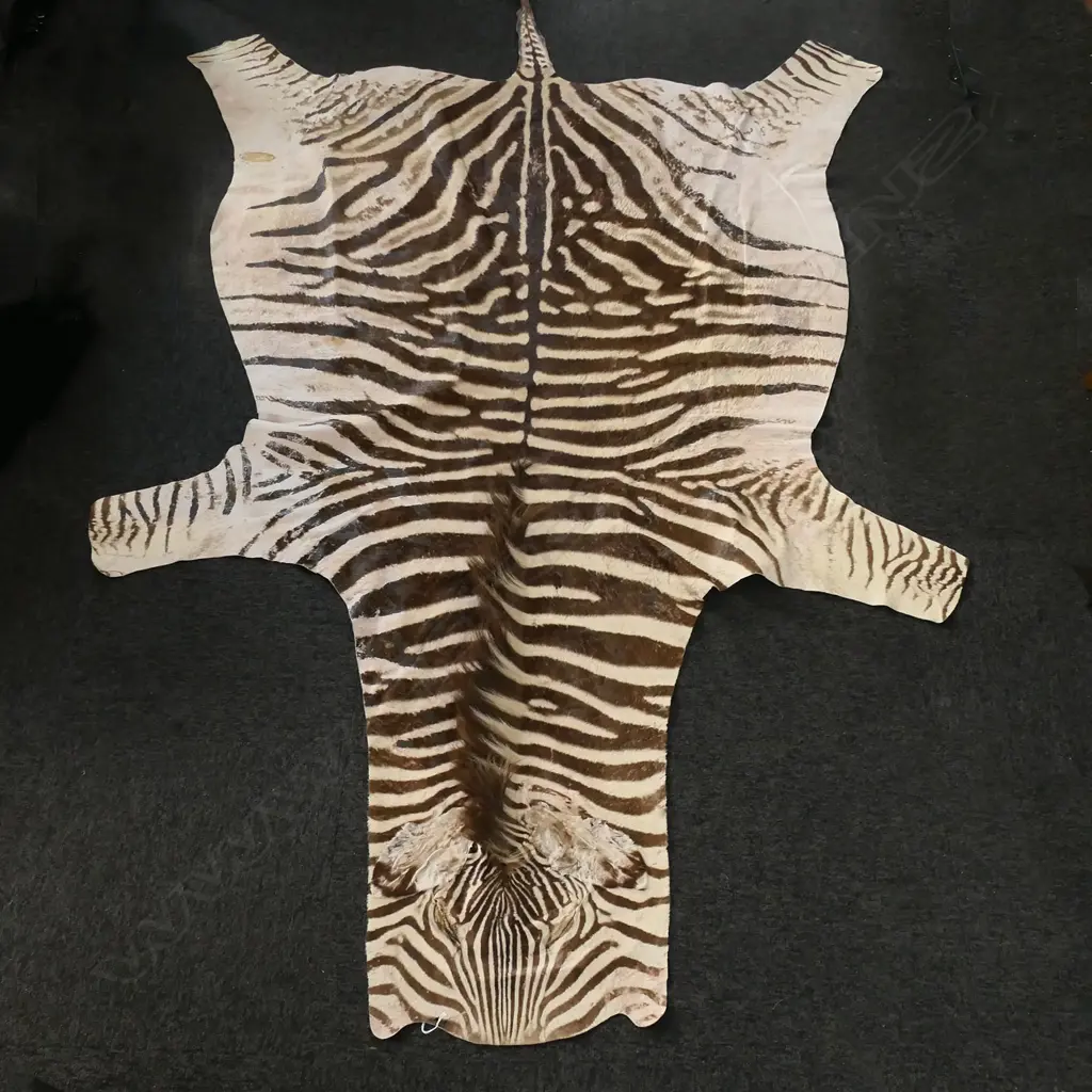 LG ZEBRA SKIN, patch repair to right flank Image 1++