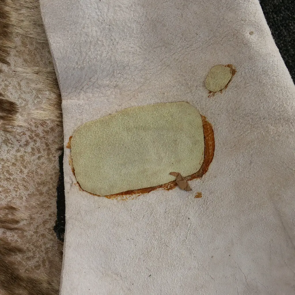 LG ZEBRA SKIN, patch repair to right flank Image 1++