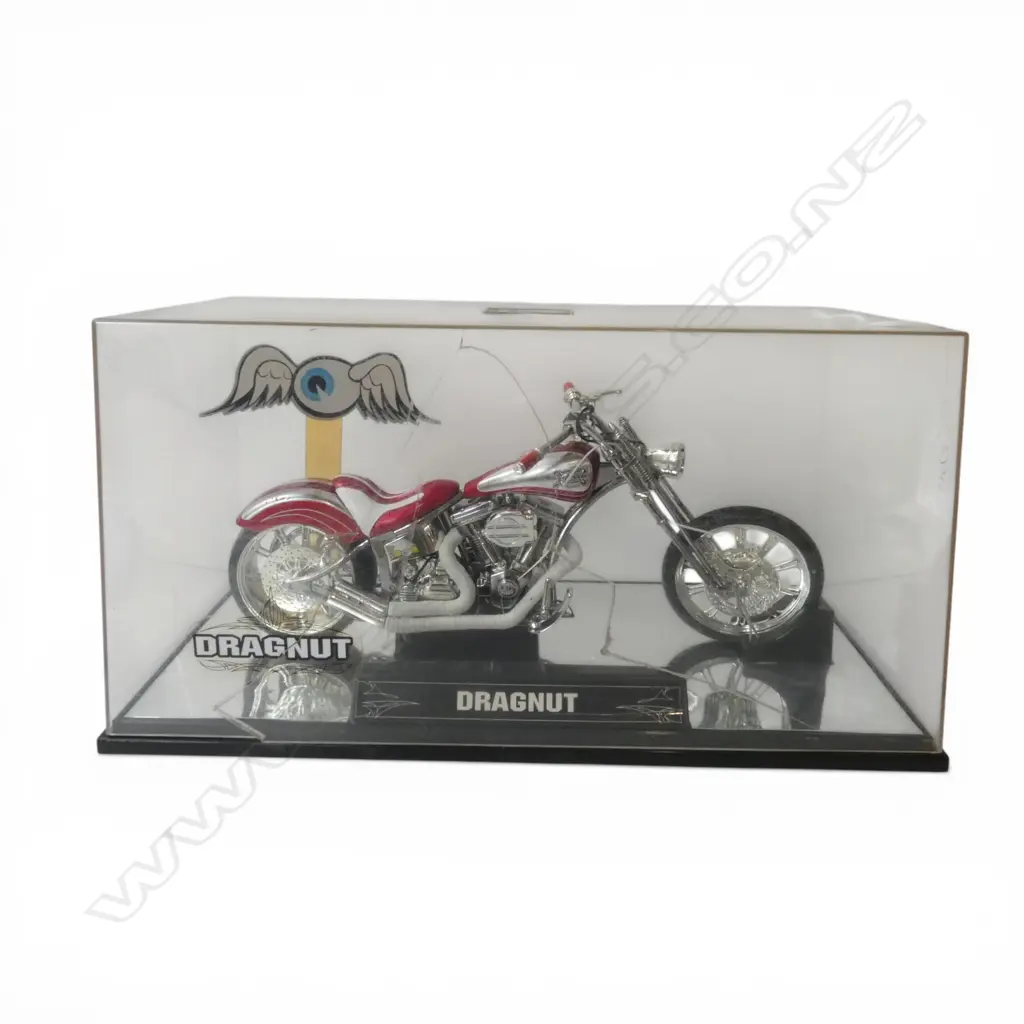DRAGNUT MODEL BIKE IN DISPLAY CASE faults W.370mm Image 1++