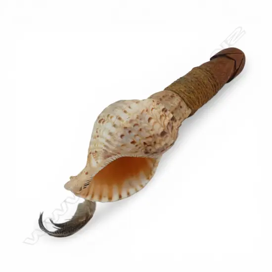 MAORI SHELL pūtātara TRUMPET with carved wood mouth piece lashed to the conch shell. L.270mm. feather tassel to end