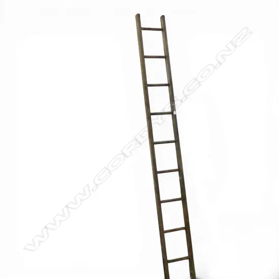 WOODEN LADDER H.2800mm