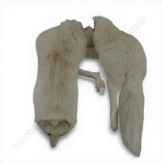 WHITE ARCTIC FOX FUR STOLE