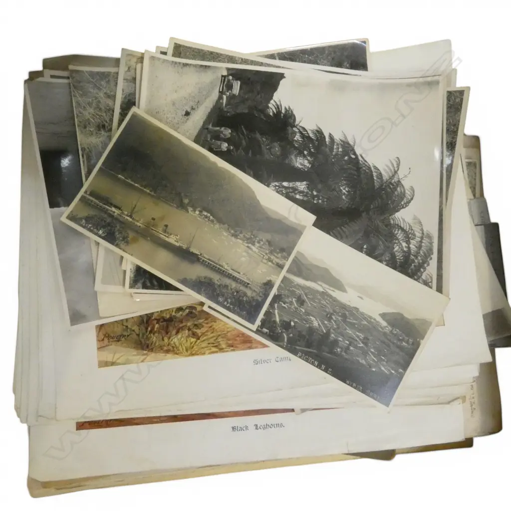 ASST. EARLY NZ PHOTOS, PRINTS ETC Image 1++