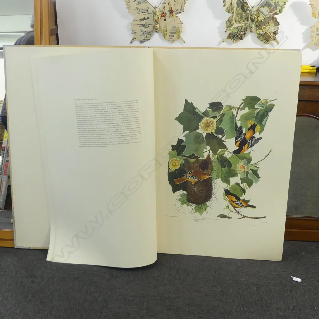 VERY LG FORMAT ART BOOK; J. J. AUDUBON THE BIRDS OF AMERICA' 682/1000 990x690mm exterior showing wear Image 1++