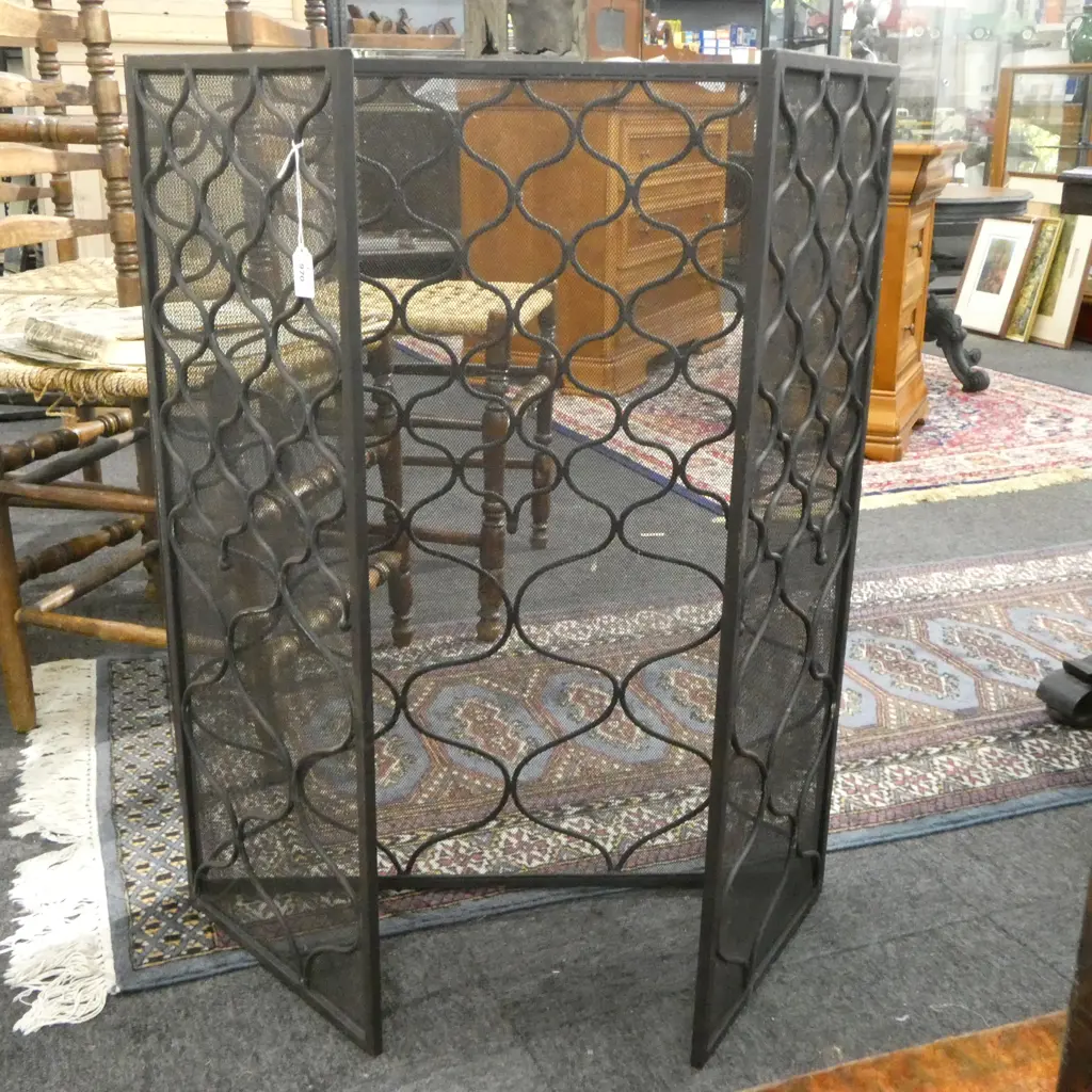 FIRE SCREEN H.810mm Image 1++
