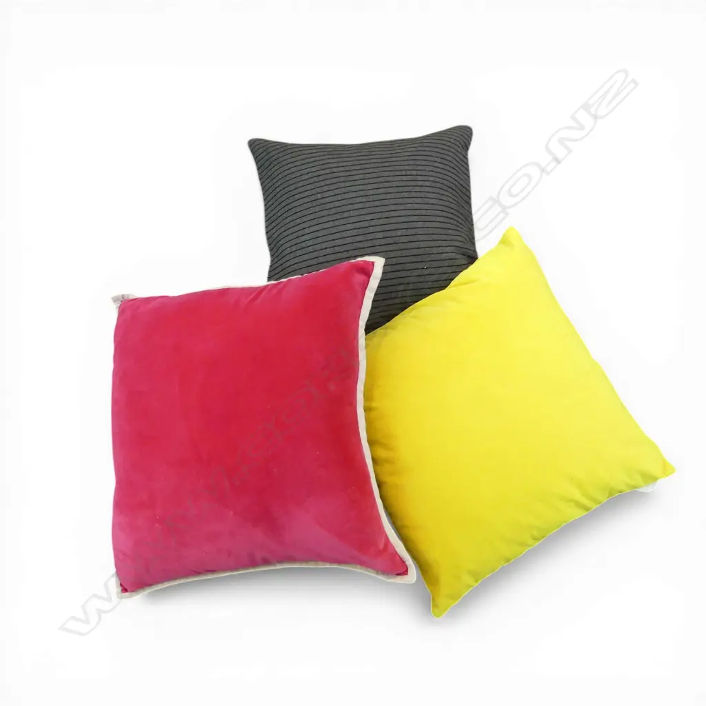 3 CUSHIONS Incl. LIMON W.450mm Image 1++