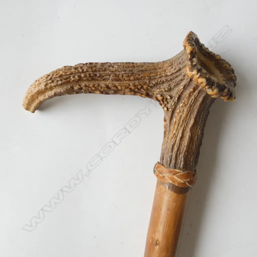 TWO VINTAGE WALKING STICKS, DEER ANTLER TOPPED & IVORY KNOB Image 1++