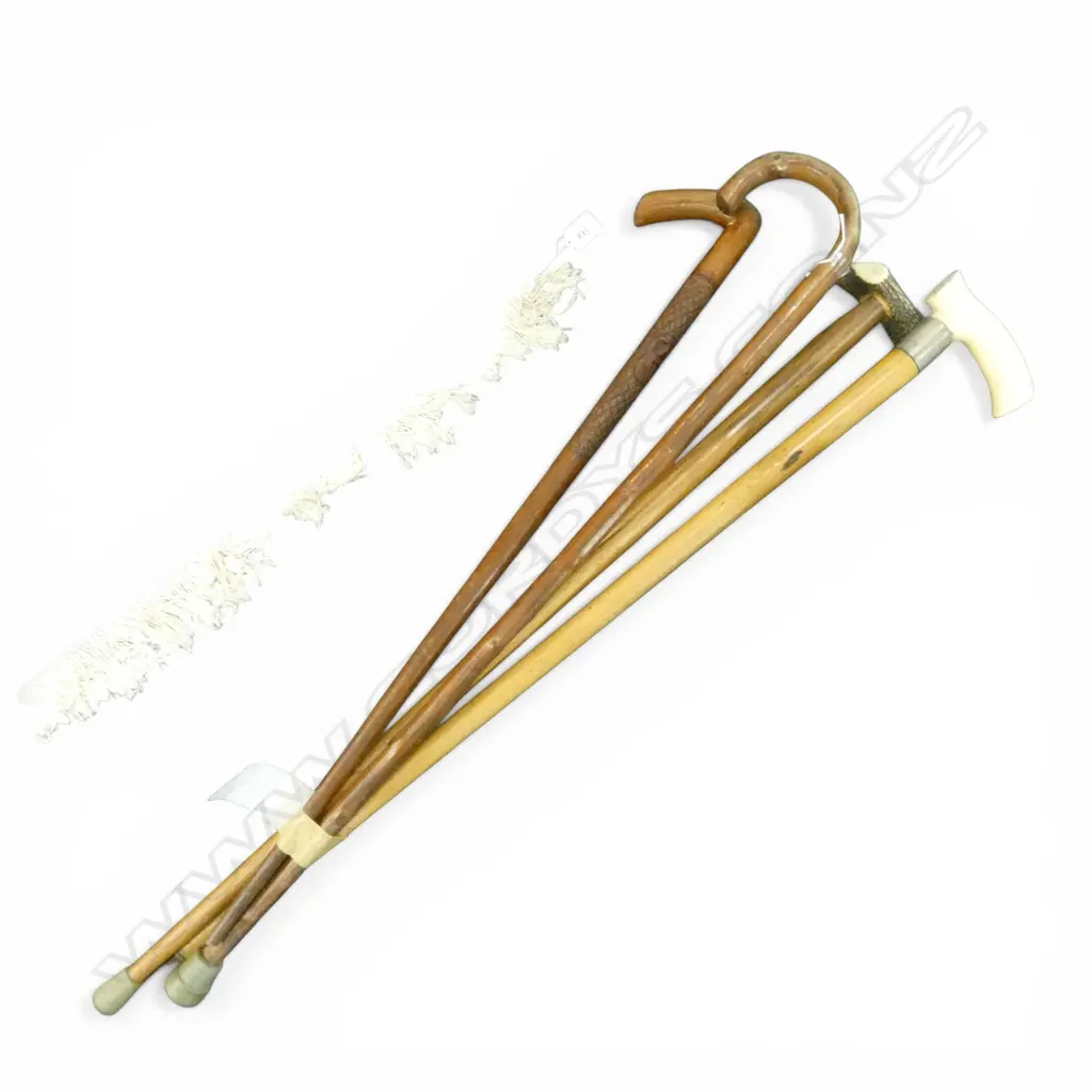 4 WALKING STICKS H.990mm Image 1++