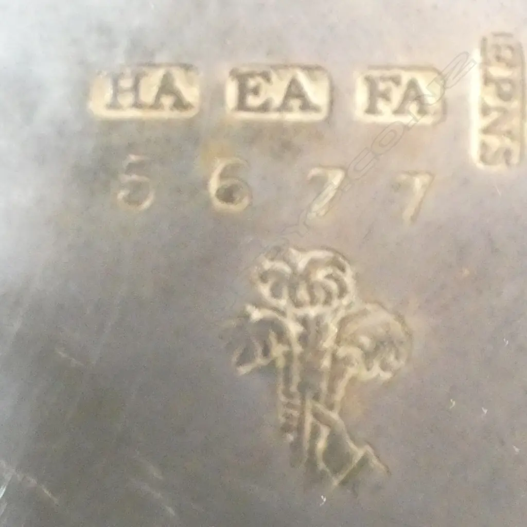 EP GALLERY TRAY L550MM & CIRCULAR EP  TRAY DIA350MM Image 1++