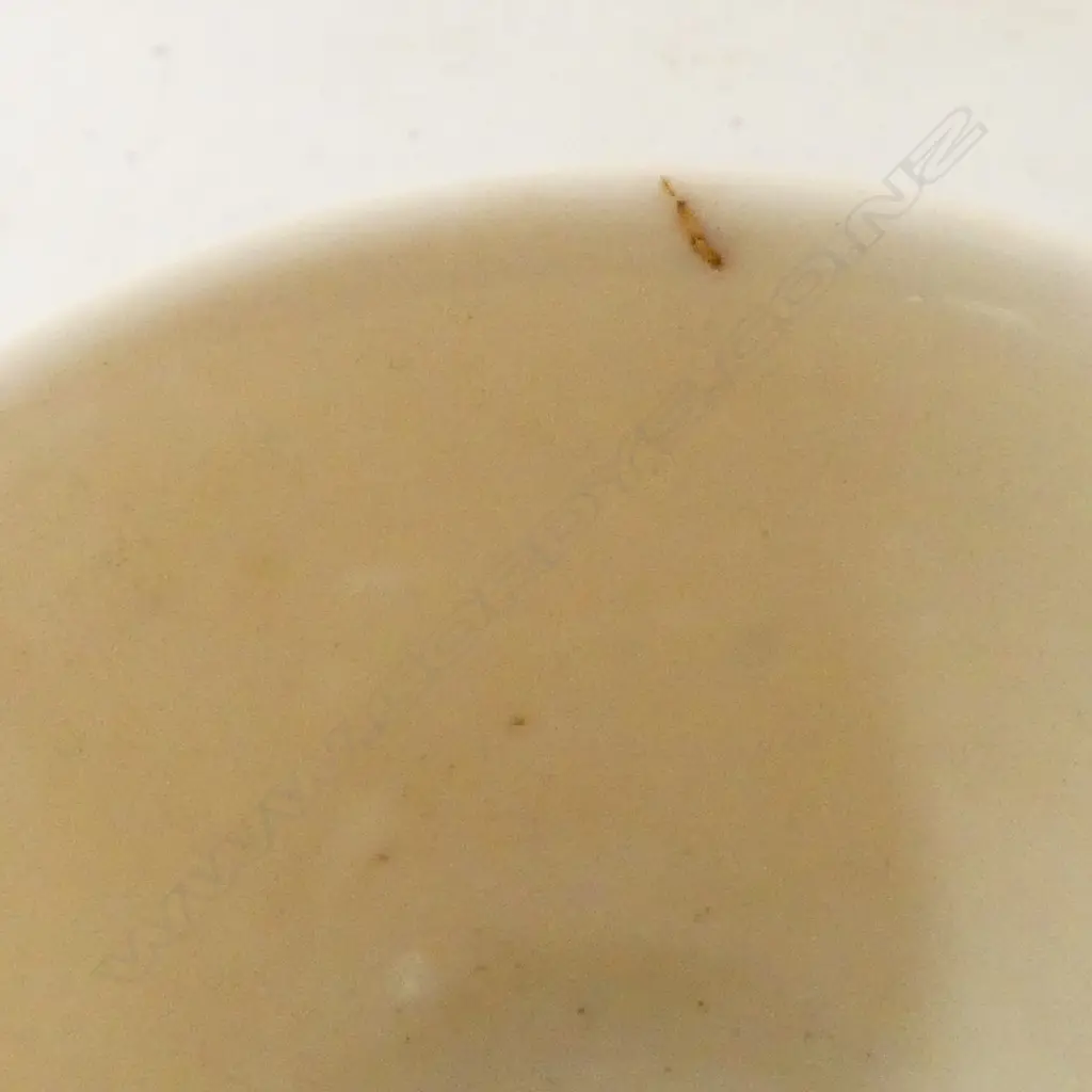 2 WHITE PORCELAIN CUPS H.45mm Image 1++