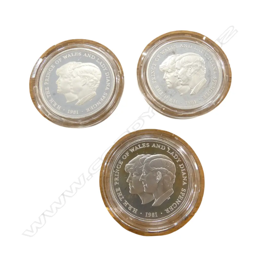 3 1981 ROYAL WEDDING SILVER PROOF COINS Image 1++