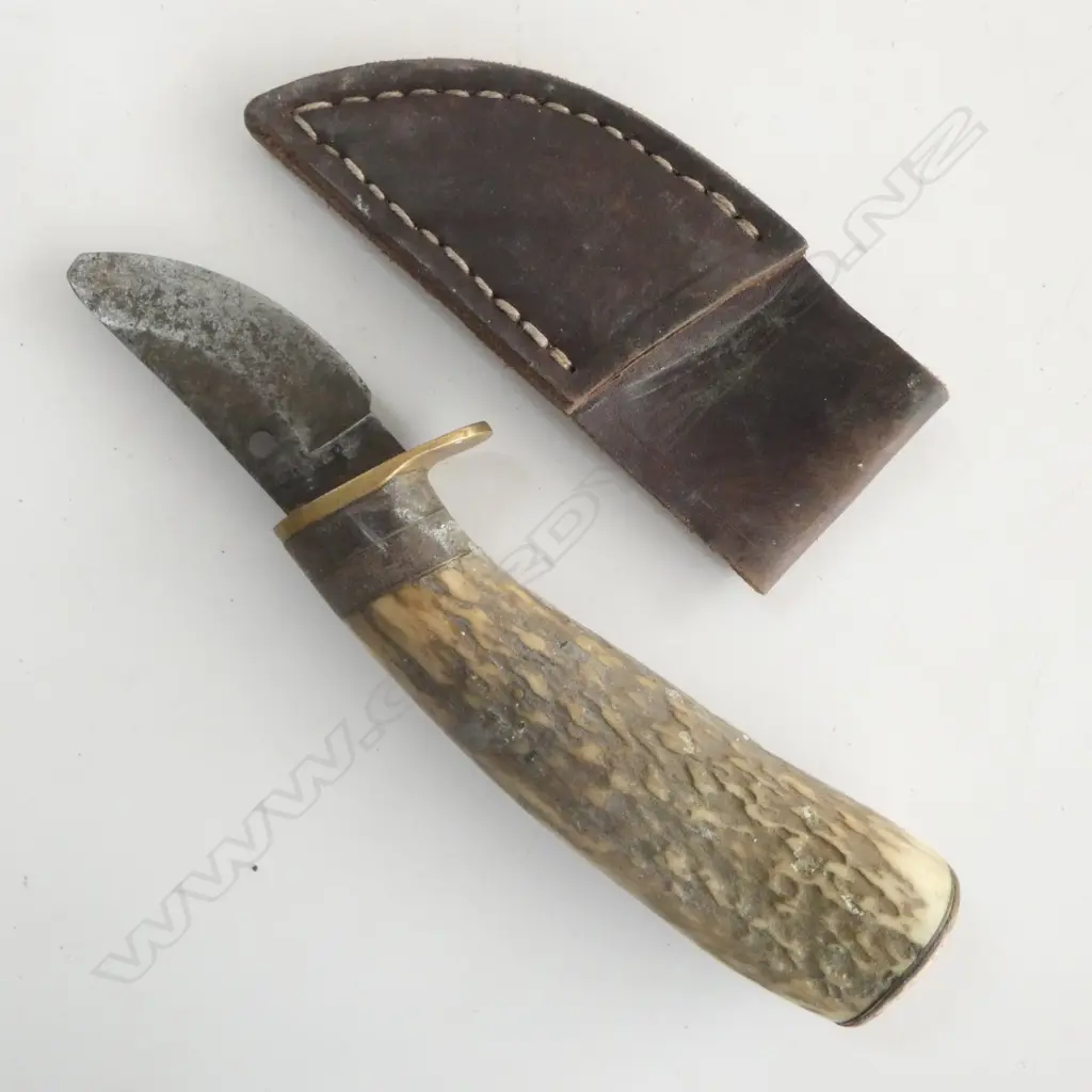 FIVE VINTAGE KNIVES L.195mm Image 1++