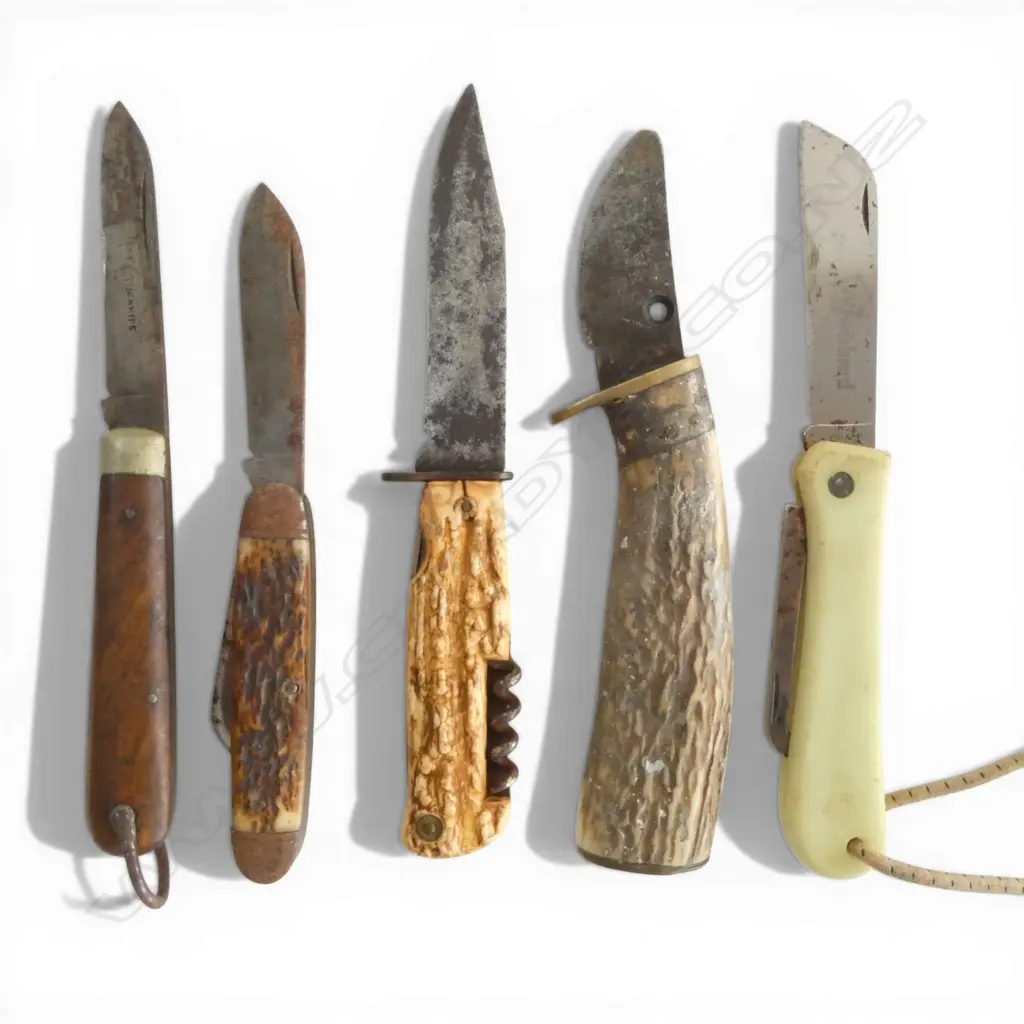 FIVE VINTAGE KNIVES L.195mm Image 1++