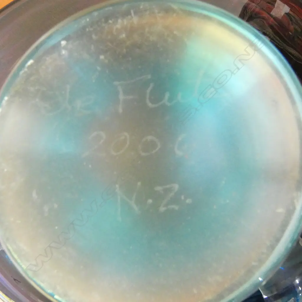 DE FLUTE N.Z. ART GLASS FOOTED BOWL etched base, 2006 Dia.245mm Image 1++