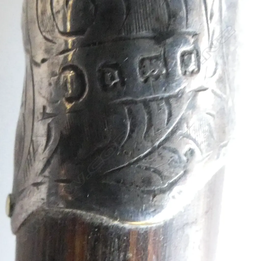 2 S/SILVER BANDED WALKINGSTICKS L920MM Image 1++