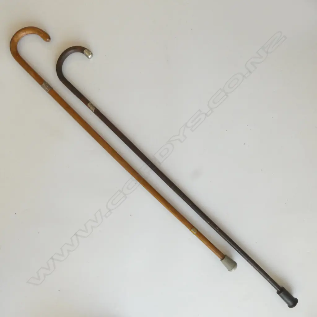 2 S/SILVER BANDED WALKINGSTICKS L920MM Image 1++