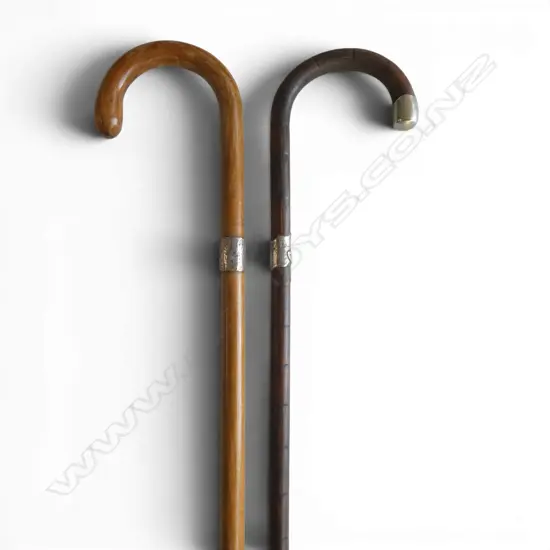 2 S/SILVER BANDED WALKINGSTICKS L920MM