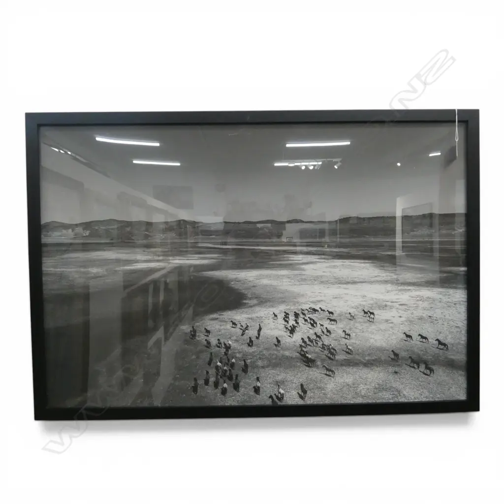 STRATI HOVARTOS, WILD HORSES III, FRAMED PIGMENT PRINT 600 X 900mm Image 1++
