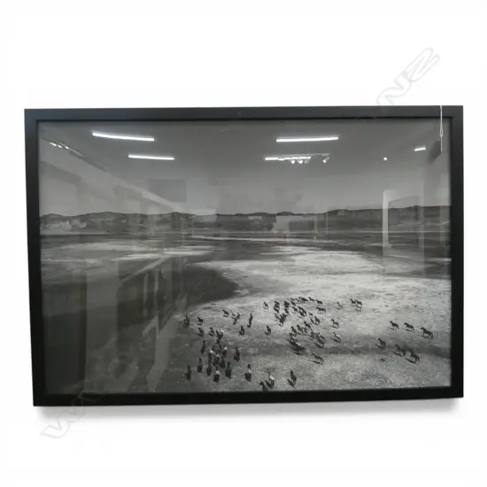 STRATI HOVARTOS, WILD HORSES III, FRAMED PIGMENT PRINT 600 X 900mm