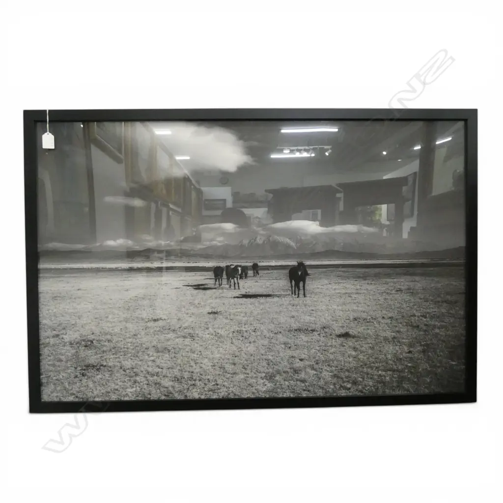STRATI HOVARTOS, WILD HORSES I,FRAMED PIGMENT PRINT, 650 X 1000mm Image 1++