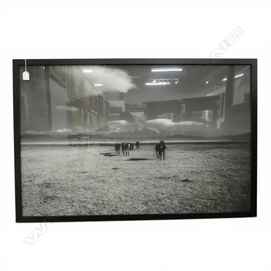 STRATI HOVARTOS, WILD HORSES I,FRAMED PIGMENT PRINT, 650 X 1000mm