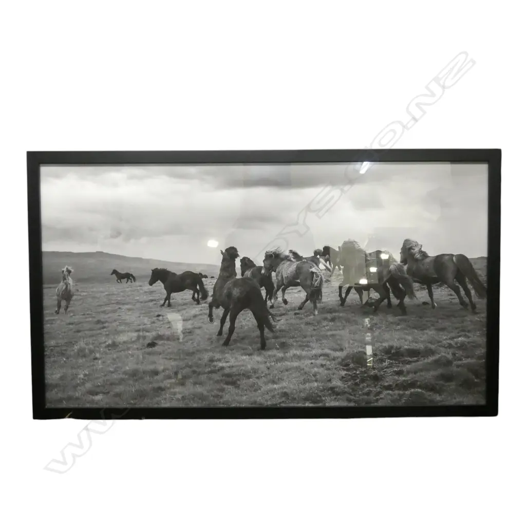 STRATI HOVARTOS, WILD HORSES II, FRAMED PIGMENT PRINT Image 1++