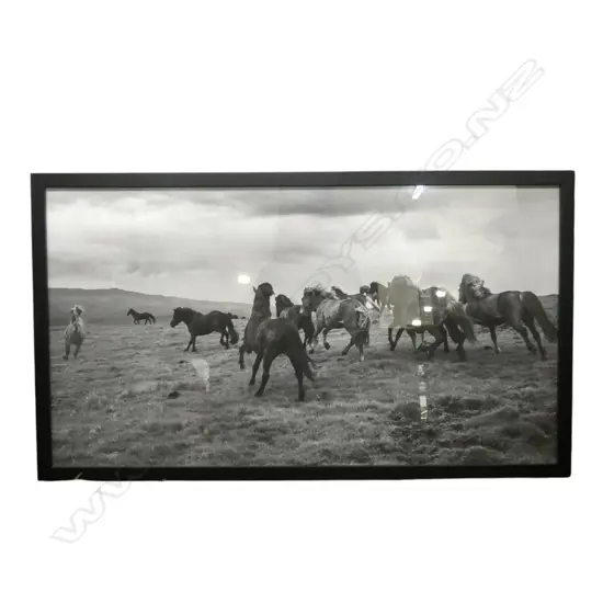 STRATI HOVARTOS, WILD HORSES II, FRAMED PIGMENT PRINT