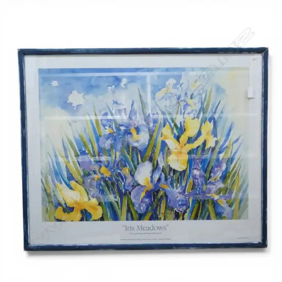 BETH DAWSON 'IRIS MEADOWS' WC PRINT 630x780mm