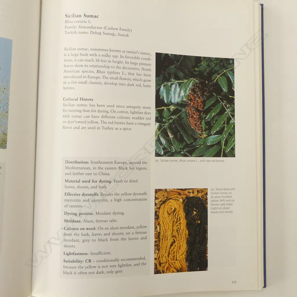 HARALD BOHMER: KOEKBOYA NATURAL DYES AND TEXTILES Image 1++