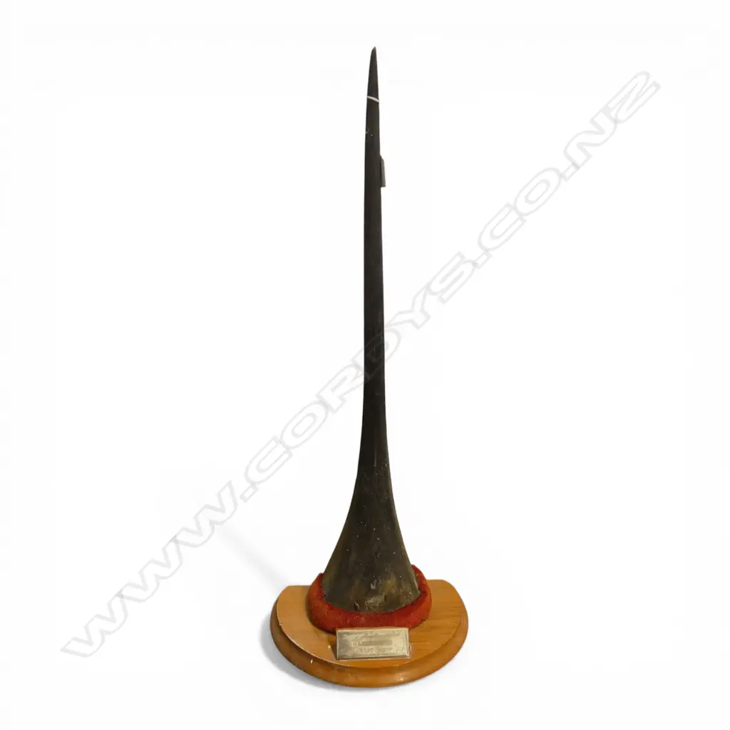 MOUNTED MARLIN BILL H.700mm Image 1++