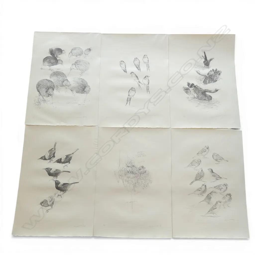 THE RAYMOND CHING PORTFOLIO OF BIRD DRAWINGS; 12 lithographs on flax paper, editions of 200, in cover, 635x450mm Image 1++