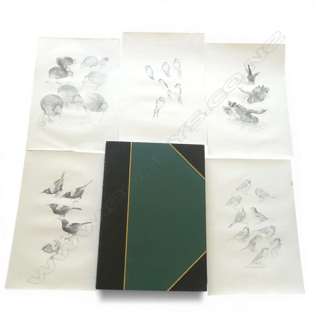 THE RAYMOND CHING PORTFOLIO OF BIRD DRAWINGS; 12 lithographs on flax paper, editions of 200, in cover, 635x450mm Image 1++