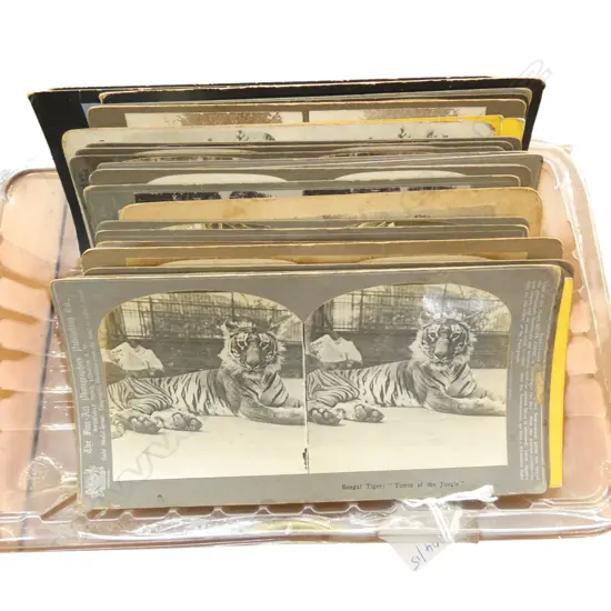 45 STEREOVIEW CARDS – EUROPE, PEOPLE, SYDNEY, ANIMALS ETC