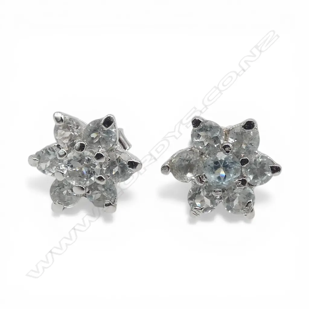 SILVER & AQUAMARINE STUDS Image 1++