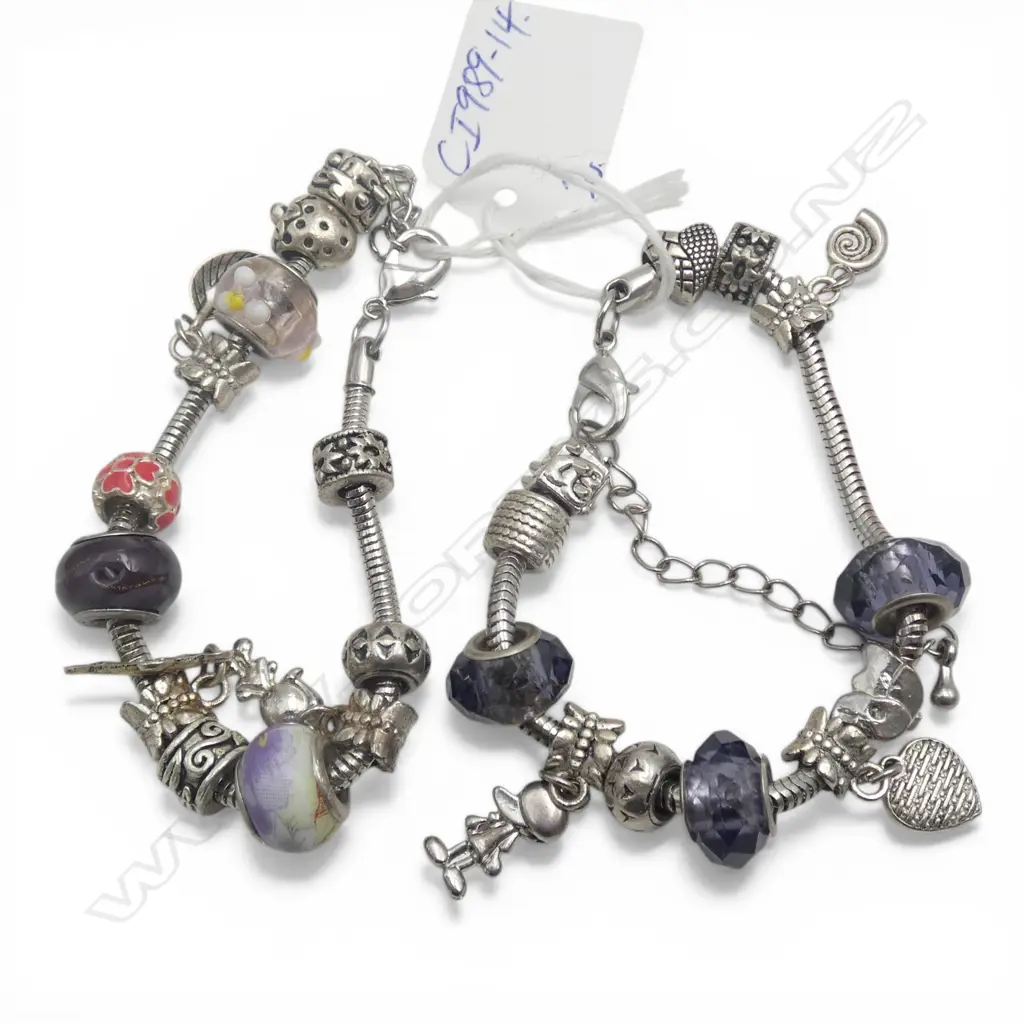 2 PANDORA TYPE BRACELETS Image 1++