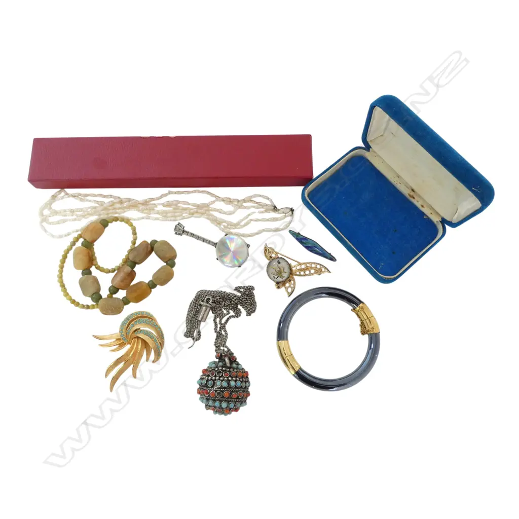 COSTUME JEWELLERY: 4 BROOCHES (1 NZ) + 2 NECKLACES ( 1 jade & soapstone?) + BANGLE + CORAL & TURQUOISE pendant SNUFF Image 1++