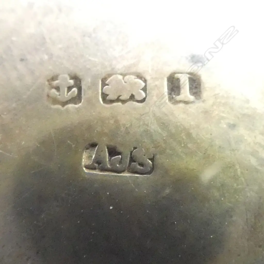 2 STG SILVER VESTAS + CONTAINER 40gms Image 1++