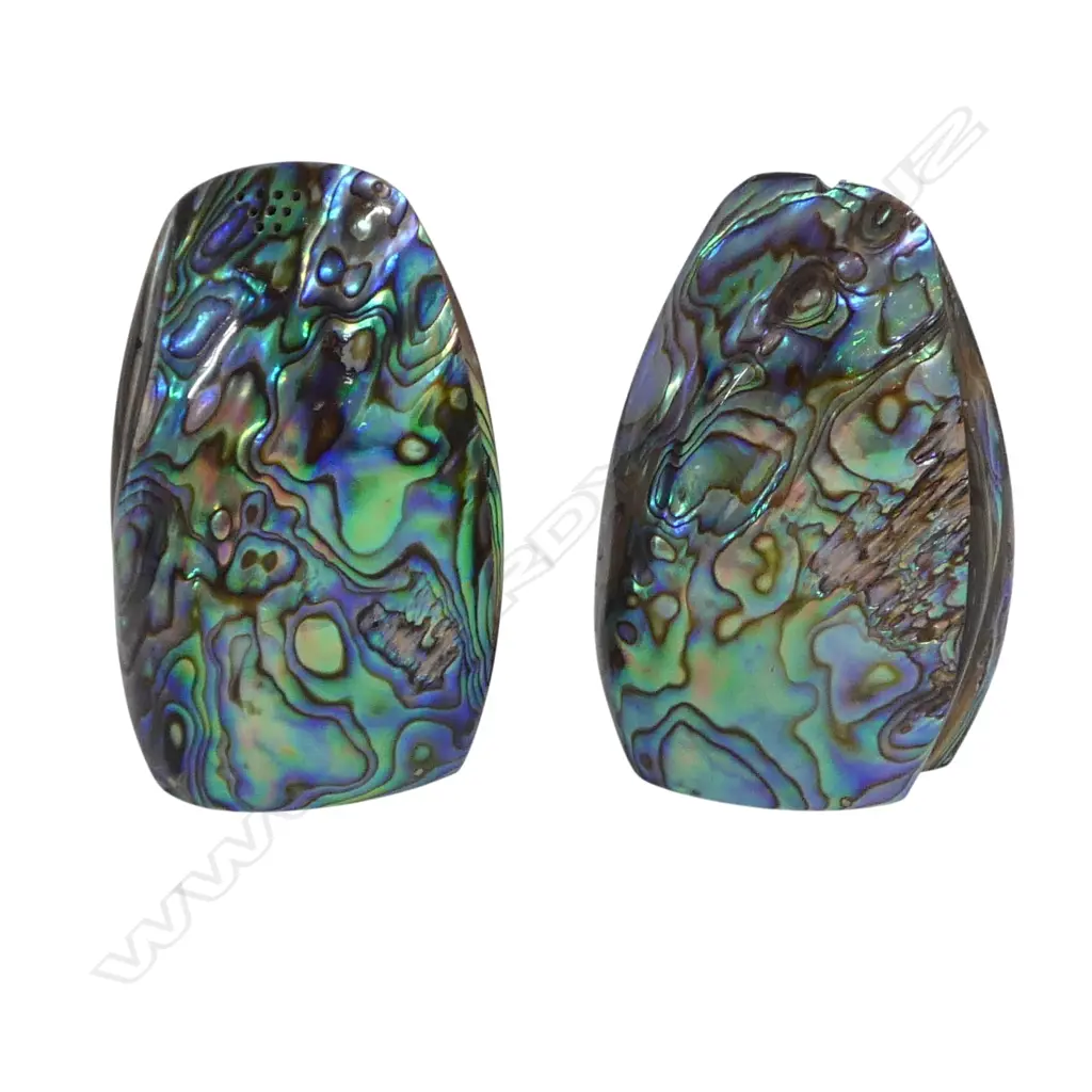 2 ATAAHUA PAUA SHELL S/P SHAKERS H.60mm Image 1++