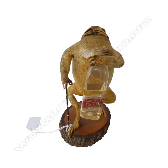 TAXIDERMY JOHNNIE WALKER CANE TOAD H.180mm