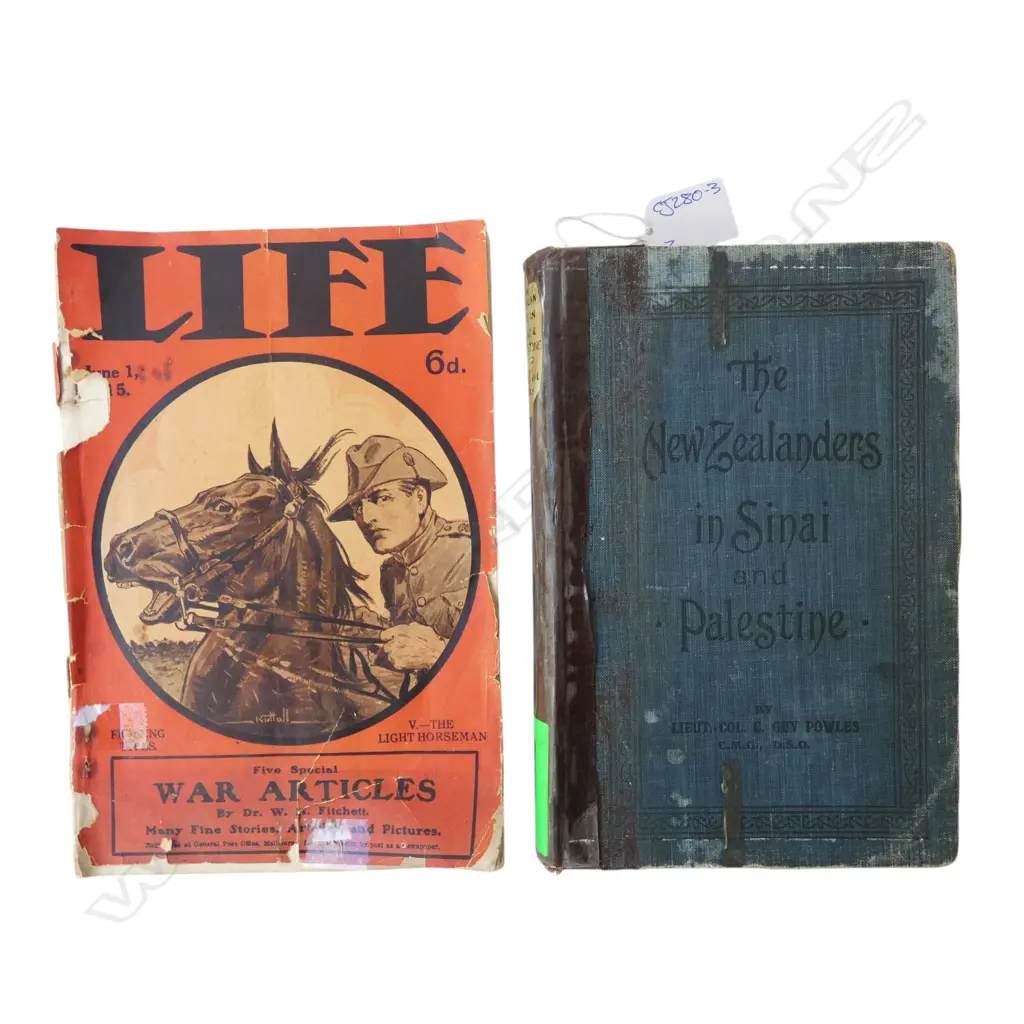 THE NEW ZEALANDERS IN SINAI & PALESTINE, FOLDING MAPS + WWI JUNE 1 1915 LIFE MAG Image 1++