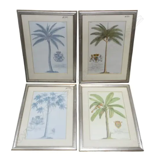 SET OF 4 PALM PRINTS 475x305mm
