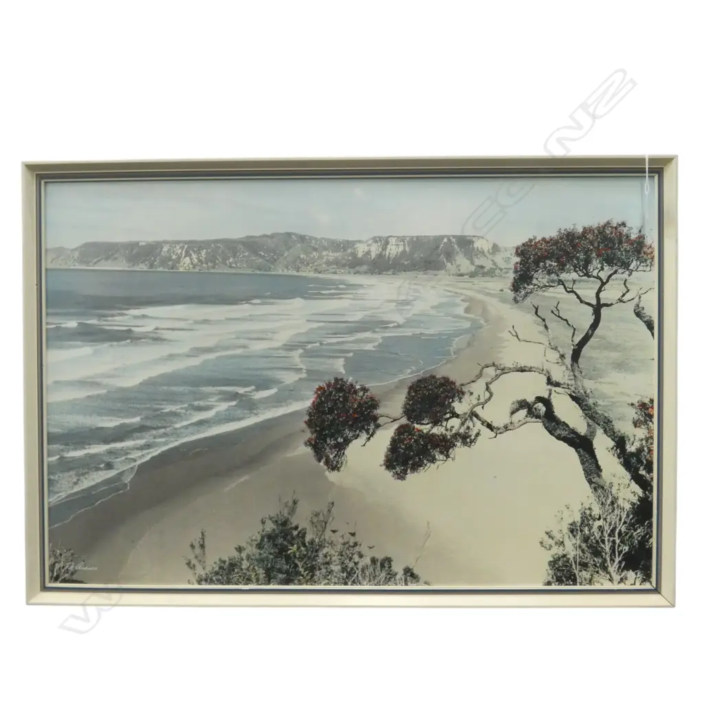 WHITE'S AVIATION HANDCOLOURED PRINT 'TE ARAROA', 540 x 790mm Image 1++