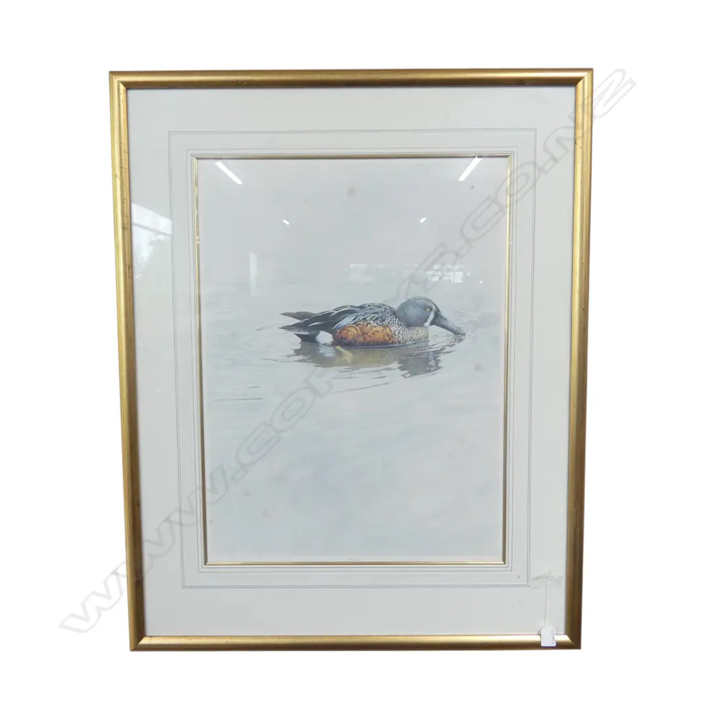 RAYMOND CHING 'SHOVELER' PRINT 665x500mm - FOXING Image 1++