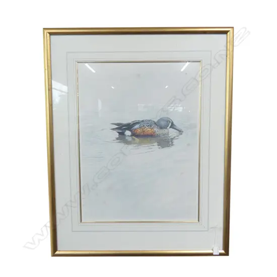 RAYMOND CHING 'SHOVELER' PRINT 665x500mm - FOXING