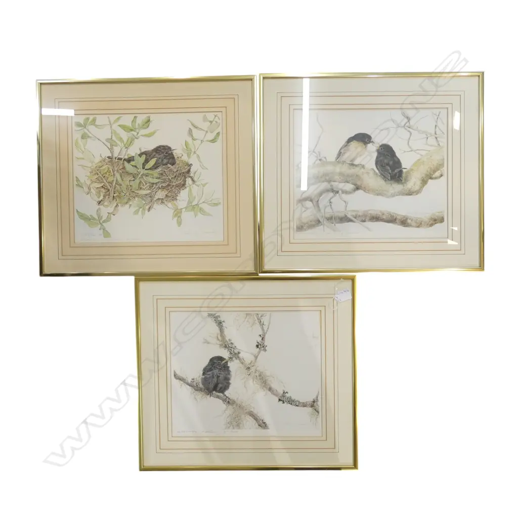 3 RAYMOND CHING ROBIN PRINTS; OLD BLUE, ROSTER PROGRAM, PANI 290x340mm Image 1++